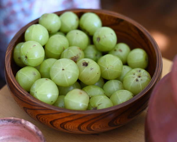 dsc_1277-min.jpg